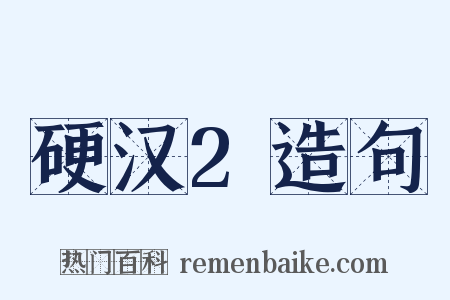 硬汉2造句是什么意思的图片